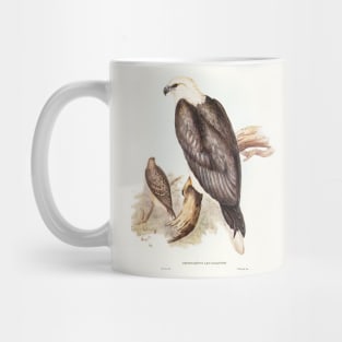 White-bellied Sea Eagle Mug